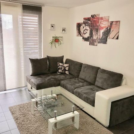 Le T2 Appartement Moderne Avec Terrasse Et Parking Strasbourg Kültér fotó