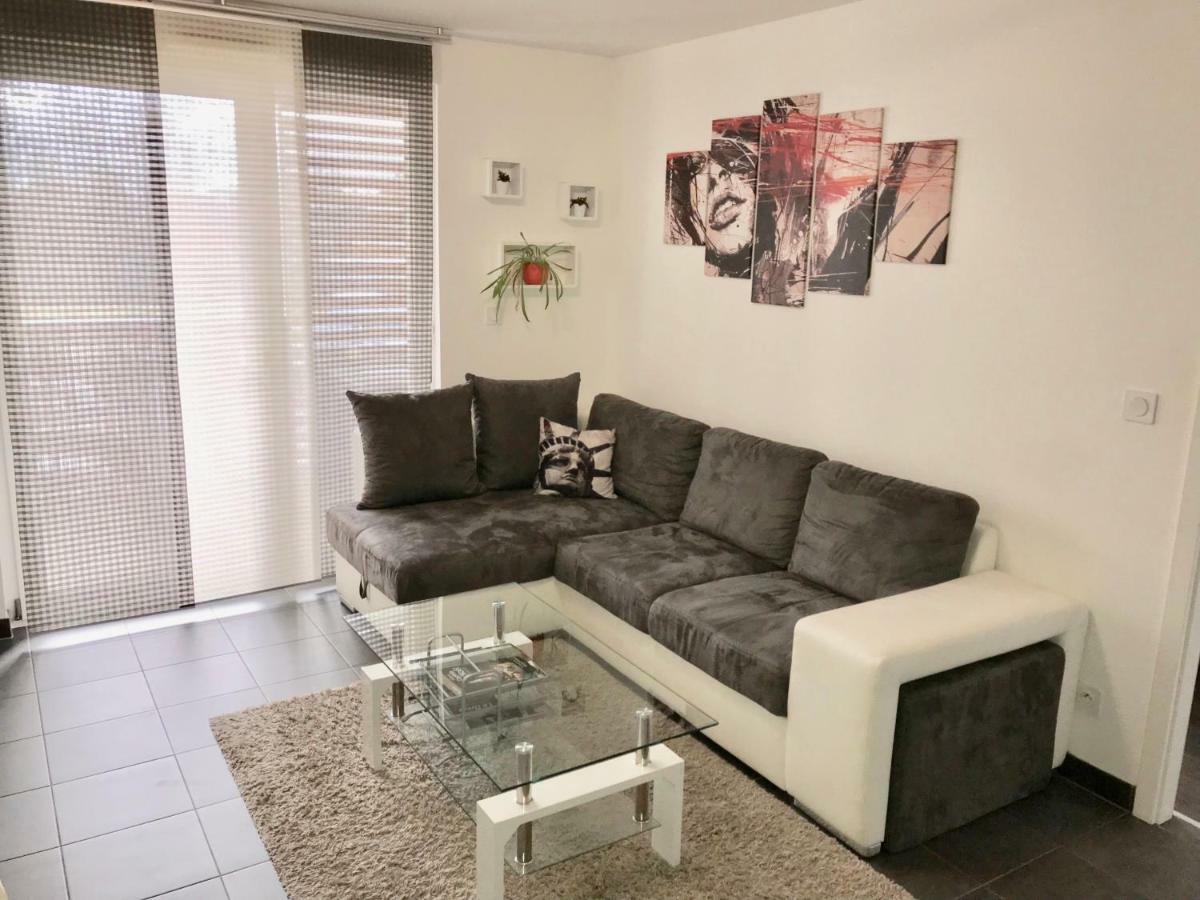 Le T2 Appartement Moderne Avec Terrasse Et Parking Strasbourg Kültér fotó